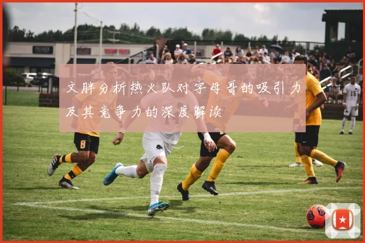 文胖分析热火队对字母哥的吸引力及其竞争力的深度解读
