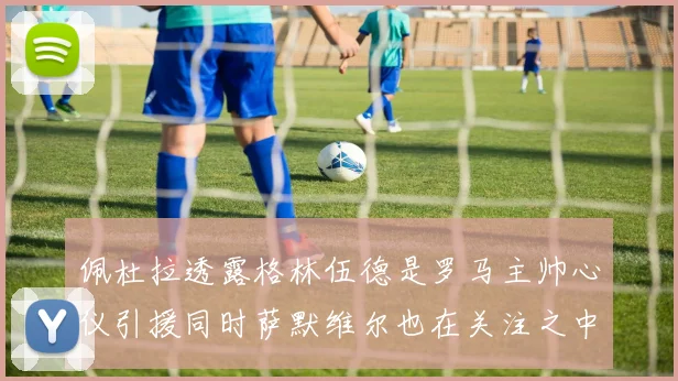 佩杜拉透露格林伍德是罗马主帅心仪引援同时萨默维尔也在关注之中