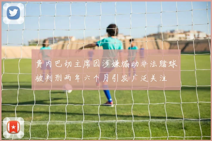 费内巴切主席因涉嫌煽动非法赌球被判刑两年六个月引发广泛关注
