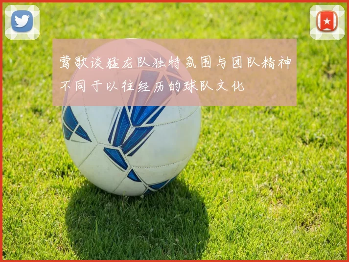 莺歌谈猛龙队独特氛围与团队精神不同于以往经历的球队文化